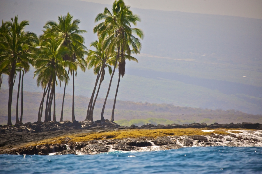 Hawaii03312010_65.jpg