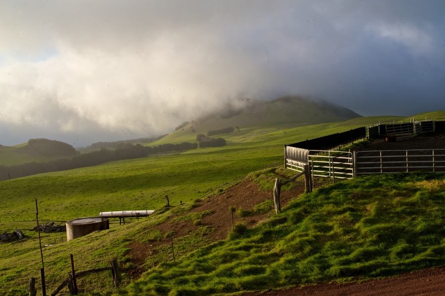 Hawaii03312010_69.jpg