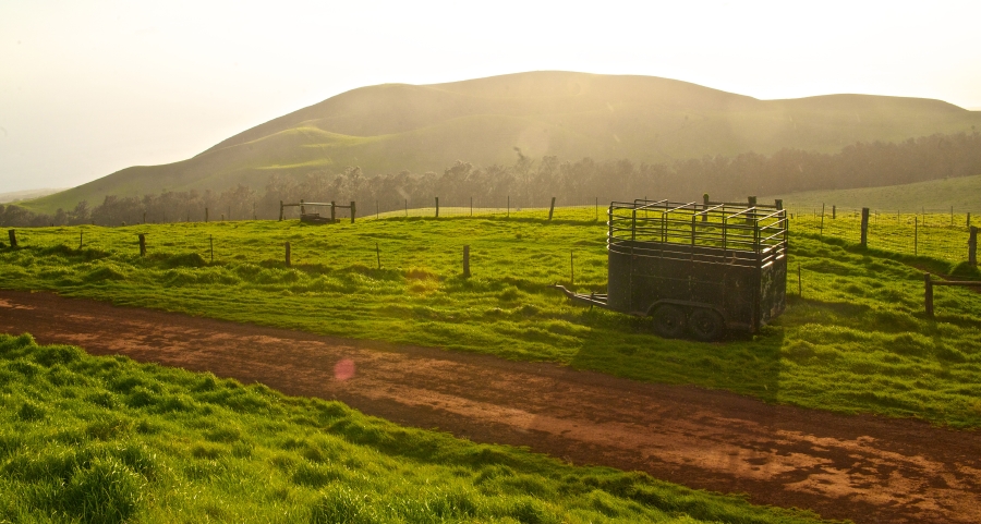 Hawaii03312010_71.jpg