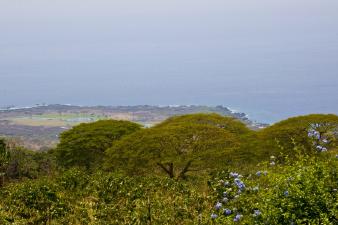 Hawaii03302010_51.jpg