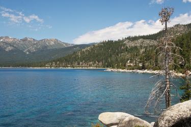 Tahoe Summer 2010  763.jpg