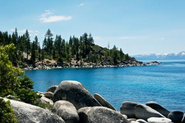 Tahoe Summer 2010  768.jpg