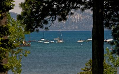 Tahoe Summer 2010  789.jpg