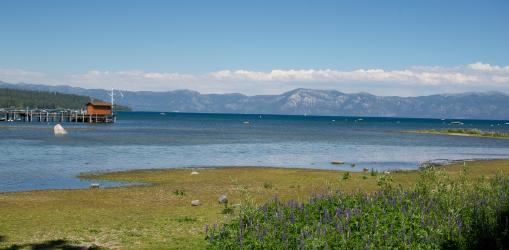 Tahoe Summer 2010  807.jpg