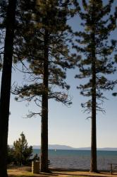Tahoe Summer 2010 833 (1).jpg